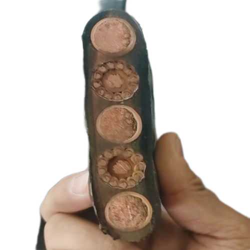 ����max(�й���)���޹�˾����