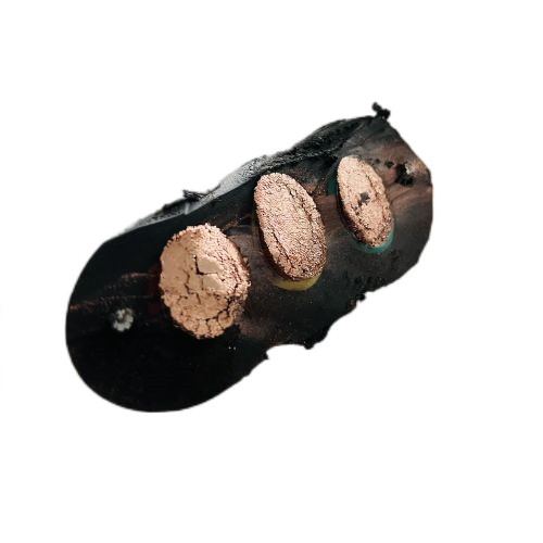 ����max(�й���)���޹�˾����