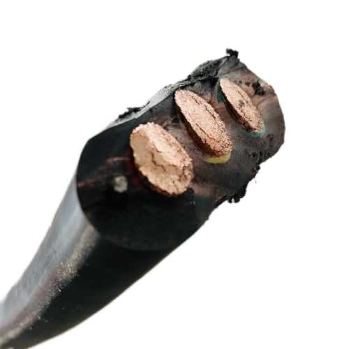 ����max(�й���)���޹�˾����