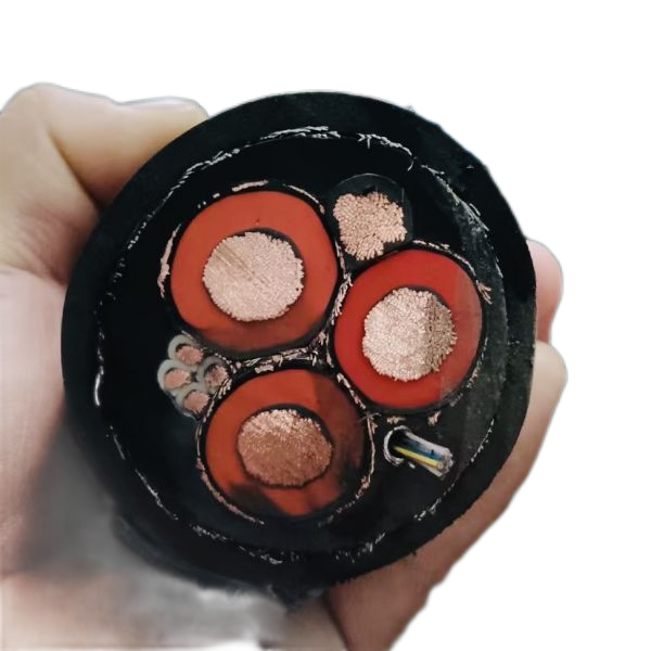 ����max(�й���)���޹�˾����