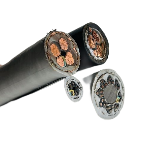 ����max(�й���)���޹�˾����