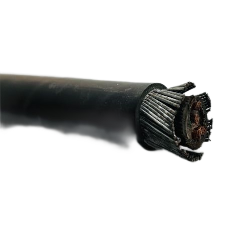 ����max(�й���)���޹�˾����