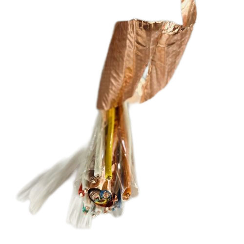 ����max(�й���)���޹�˾����