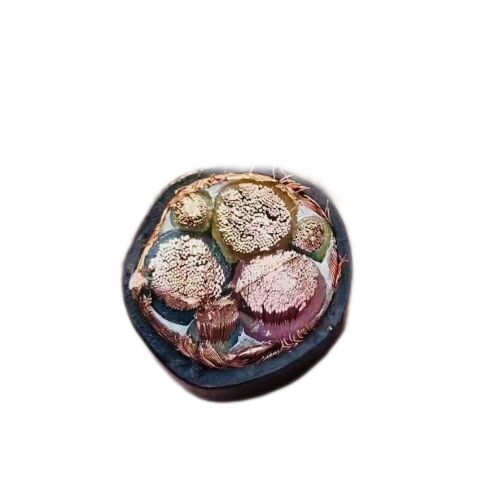 ����max(�й���)���޹�˾����