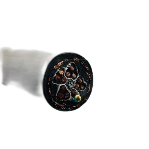 ����max(�й���)���޹�˾����