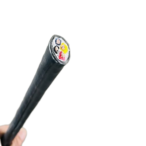 ����max(�й���)���޹�˾����