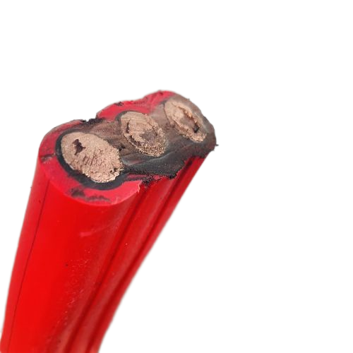 ����max(�й���)���޹�˾����