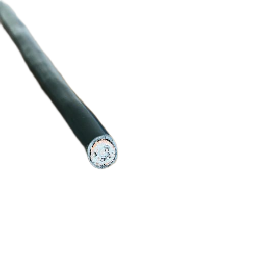 ����max(�й���)���޹�˾����