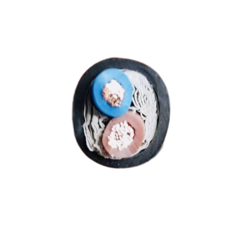 ����max(�й���)���޹�˾����