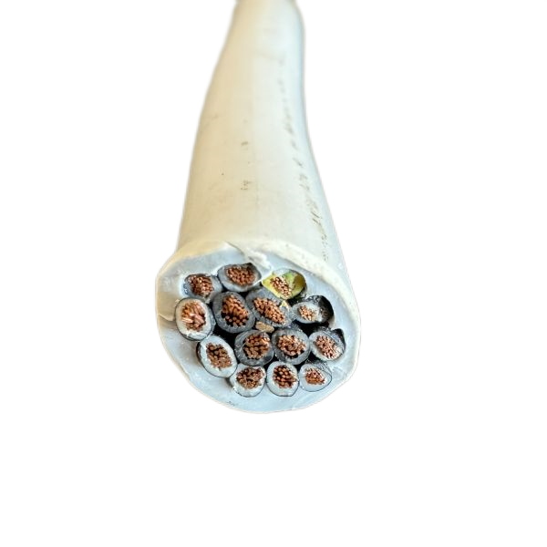 ����max(�й���)���޹�˾����