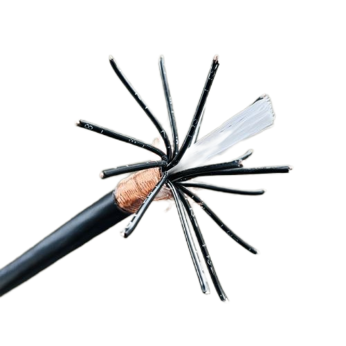 ����max(�й���)���޹�˾����