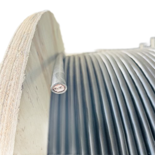 ����max(�й���)���޹�˾����