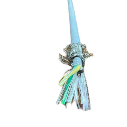 ����max(�й���)���޹�˾����