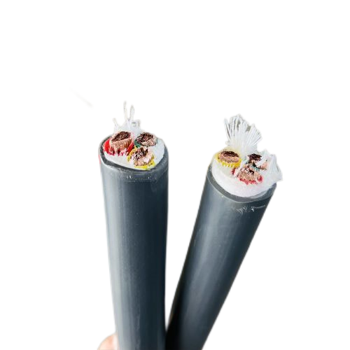 ����max(�й���)���޹�˾����