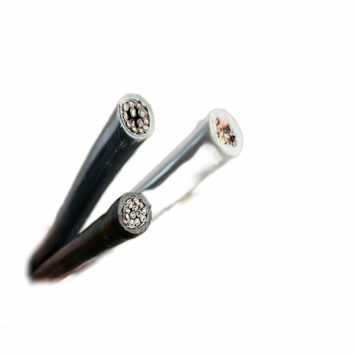 ����max(�й���)���޹�˾����