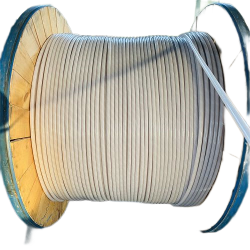 ����max(�й���)���޹�˾����