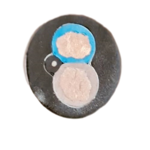 ����max(�й���)���޹�˾����