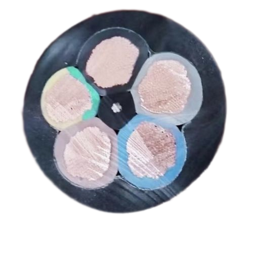 ����max(�й���)���޹�˾����