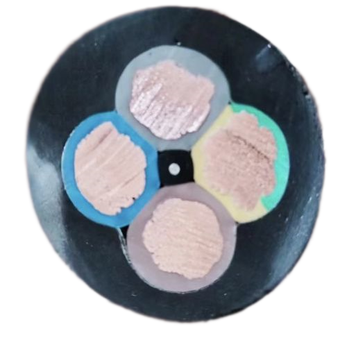 ����max(�й���)���޹�˾����