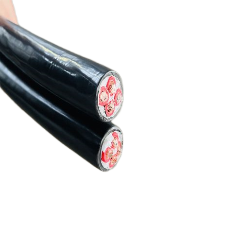 ����max(�й���)���޹�˾����