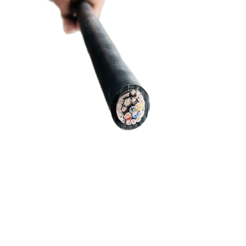 ����max(�й���)���޹�˾����