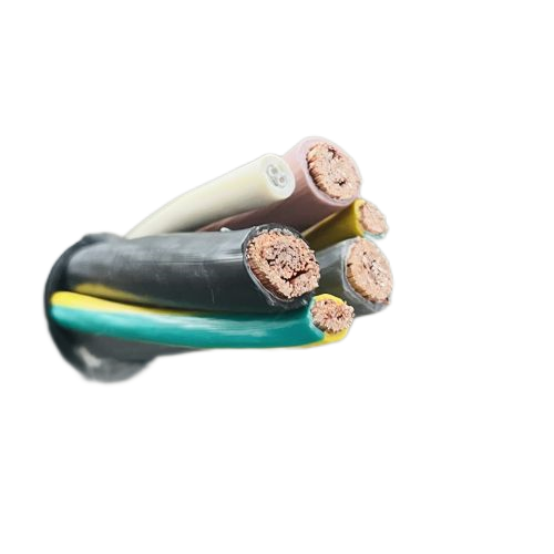 ����max(�й���)���޹�˾����