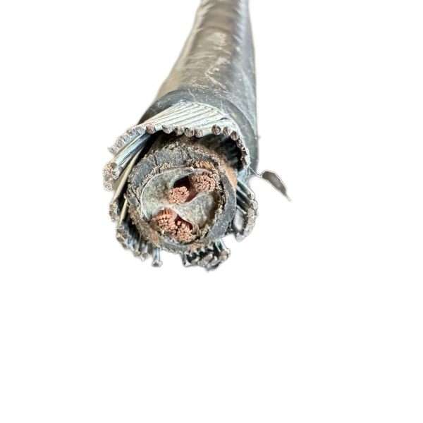 ����max(�й���)���޹�˾����