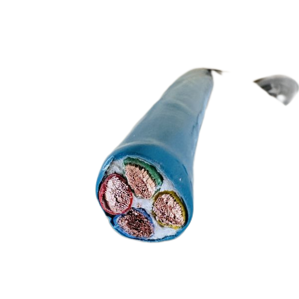 ����max(�й���)���޹�˾����