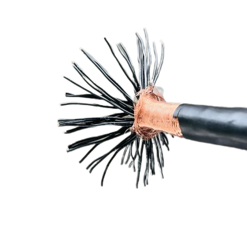 ����max(�й���)���޹�˾����