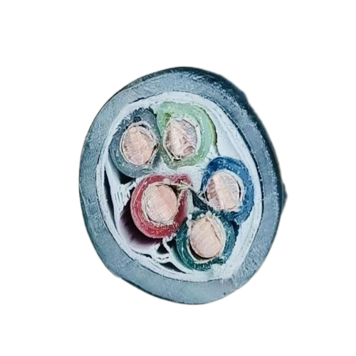 ����max(�й���)���޹�˾����