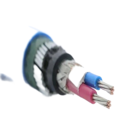 ����max(�й���)���޹�˾����