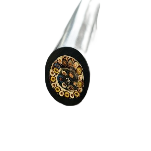 ����max(�й���)���޹�˾����