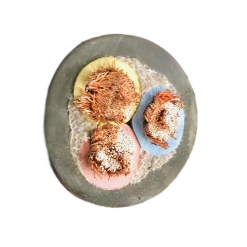 狗万·max(中国游)有限公司官网