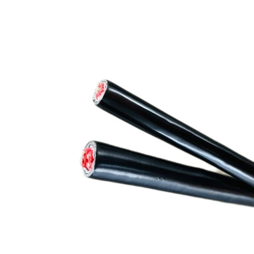 ����max(�й���)���޹�˾����