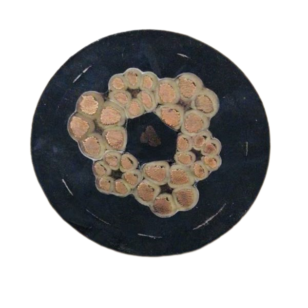 ����max(�й���)���޹�˾����