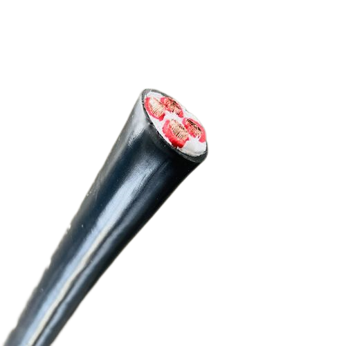 ����max(�й���)���޹�˾����