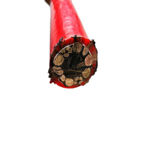 ����max(�й���)���޹�˾����