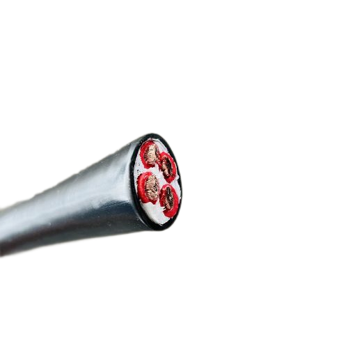 ����max(�й���)���޹�˾����