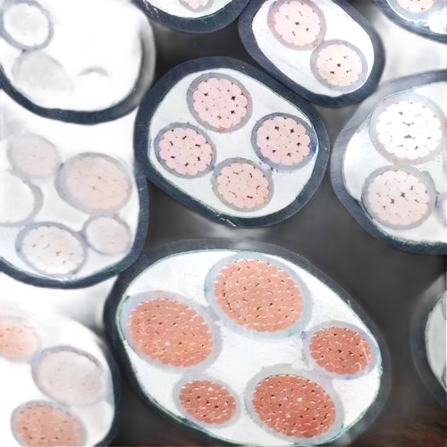 ����max(�й���)���޹�˾����