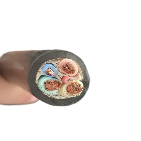 ����max(�й���)���޹�˾����