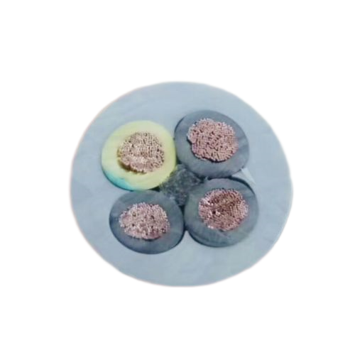 ����max(�й���)���޹�˾����