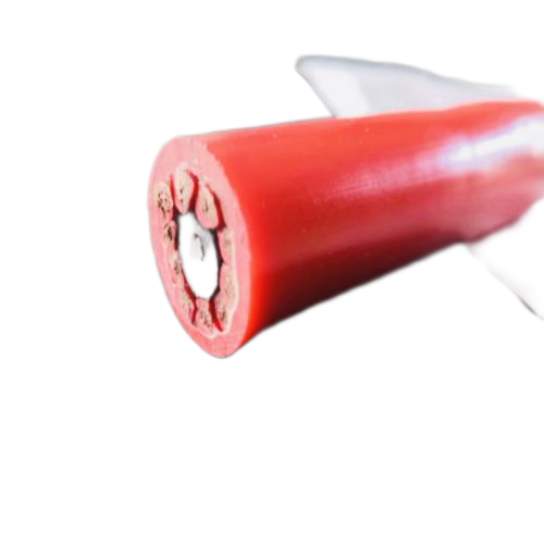 ����max(�й���)���޹�˾����