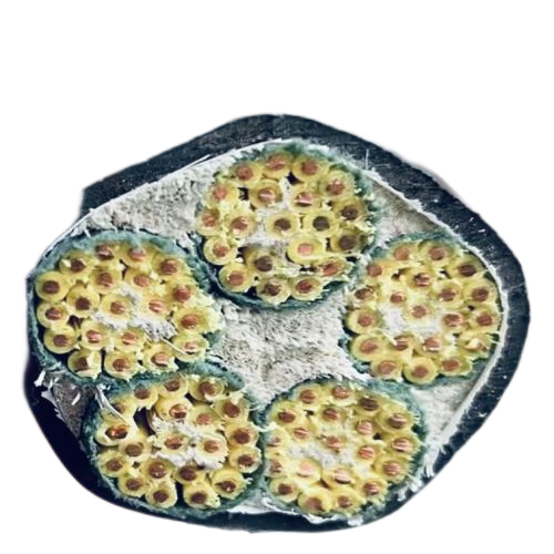 狗万·max(中国游)有限公司官网