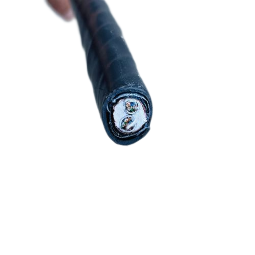 ����max(�й���)���޹�˾����