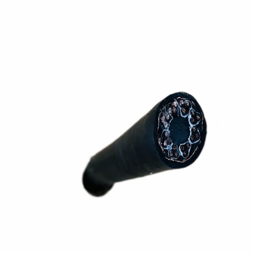 ����max(�й���)���޹�˾����