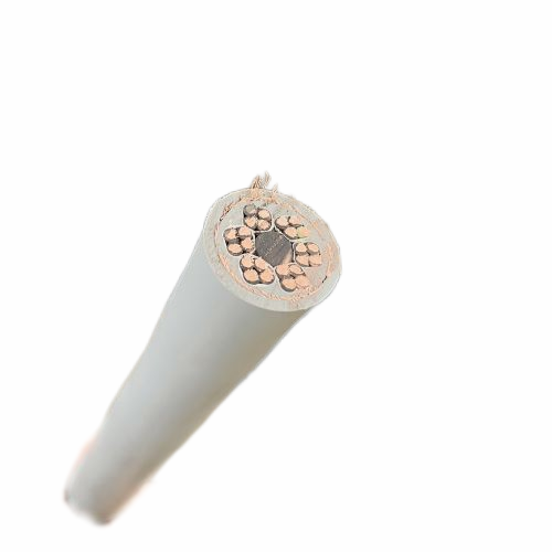 ����max(�й���)���޹�˾����