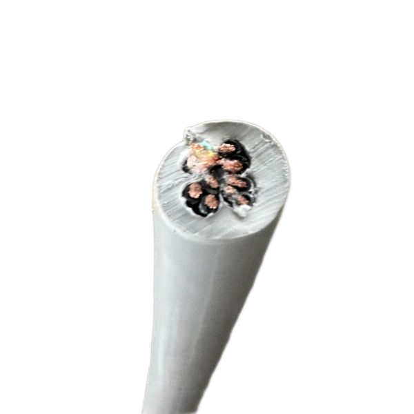 ����max(�й���)���޹�˾����