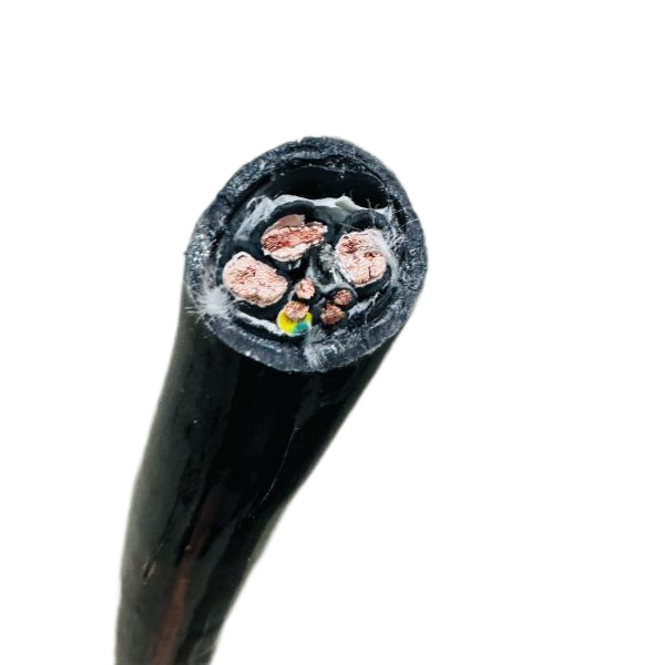 ����max(�й���)���޹�˾����