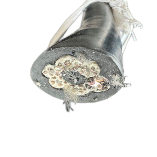 ����max(�й���)���޹�˾����