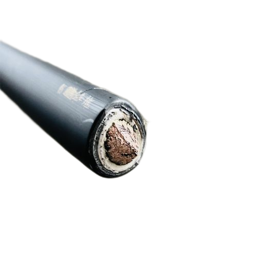 ����max(�й���)���޹�˾����